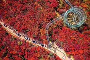 華途傳媒|參加文旅產業(yè)跨界共融交流分享會